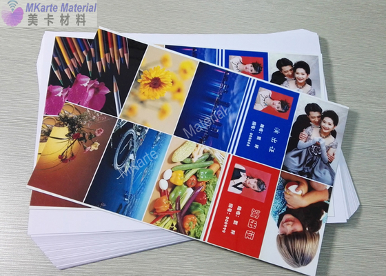 ±5% Thickness Tolerance Plastic Card Sheet for Loading Port in Shanghai or Other Chinese Port